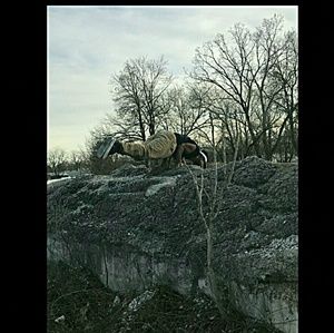 Meet your Posher, Tyrone